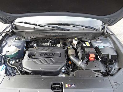 Hyundai Tucson 1.6 CRDi 48V-Hybrid 4WD DCT N Line / Ass-P. / AHK